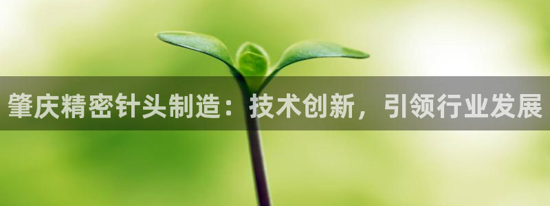 彩神v秘聊号码：肇庆精密针头制造：技术创新，引领行业发展