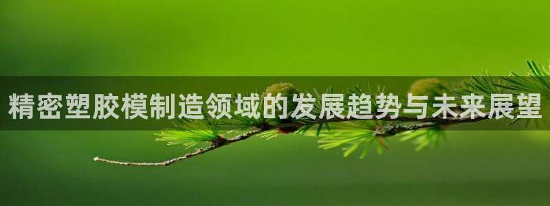 彩神旗下有哪些平台：精密塑胶模制造领域的发展趋势与未来展望