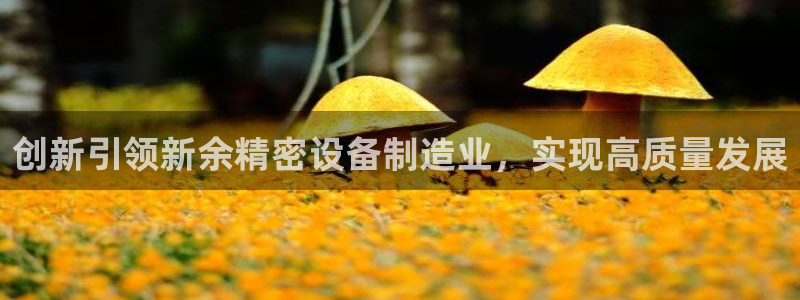 天天彩神welcome：创新引领新余精密设备制造业，实现高质量发展