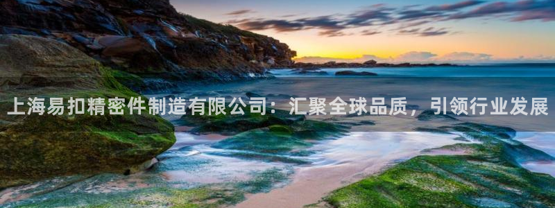 彩神8官网版：上海易扣精密件制造有限公司：汇聚全球品质，引领行业发展