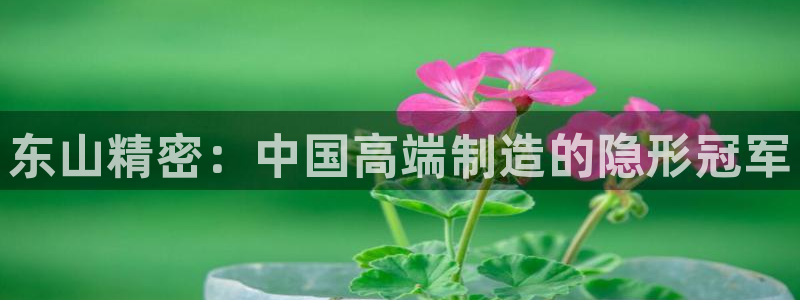 彩神vii官网大赢家