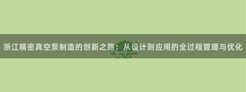 彩神v8下载app5.0：浙江精密真空泵制造的创新之路：从设计到应用的全过程管理与优化