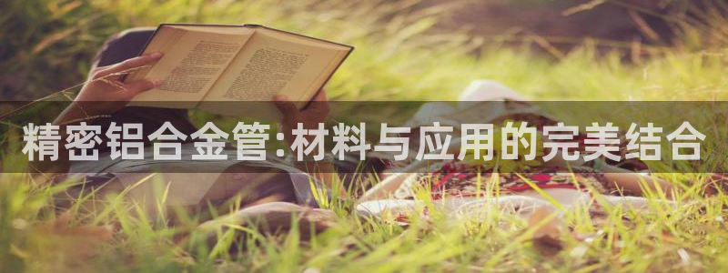 彩神vlll官方网