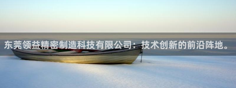 彩神8是正规平台吗知乎：东莞领益精密制造科技有限公司：技术创新的前沿阵地。