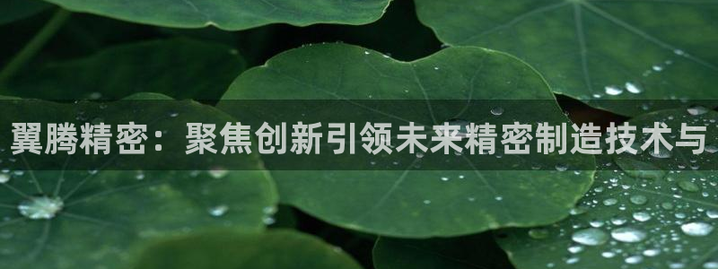 彩神v8购彩大厅登：翼腾精密：聚焦创新引领未来精密制造技术与