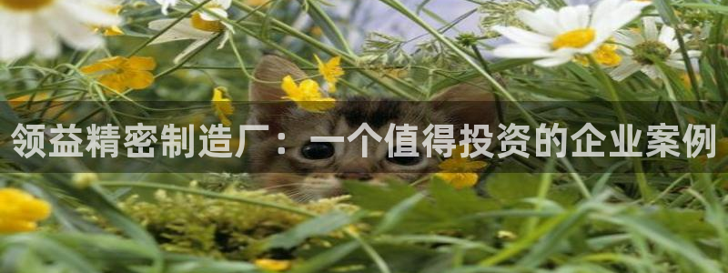 彩神v网赌软件下载：
