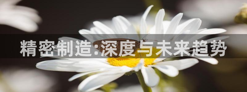 彩神赢钱了吗知乎：精密制造:深度与未来趋势