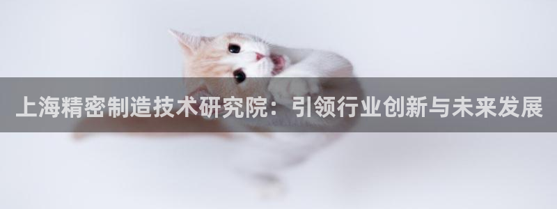 彩神赢的钱是哪里来的啊：上海精密制造技术研究院：引领行业创新与未来发展