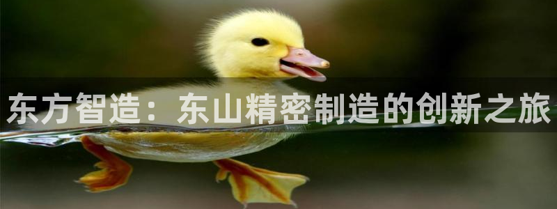 彩神平台：东方智造：东山精密制造的创新之旅