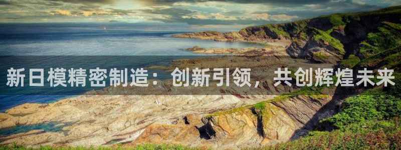 彩神8是正规平台吗：新日模精密制造：创新引领，共创辉煌未来