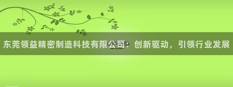 彩神平台能提现吗：东莞领益精密制造科技有限公司：创新驱动，引领行业发展