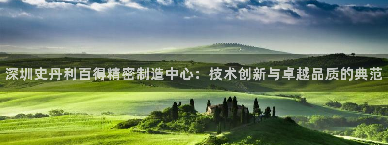 彩神购彩-购彩大厅入口计划群：深圳史丹利百得精密制造中心：技术创新与卓越品质的典范