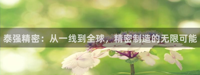 彩神用户登录：泰强精密：从一线到全球，精密制造的无限可能