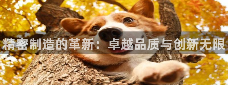 彩神大发黑平台：精密制造的革新：卓越品质与创新无限