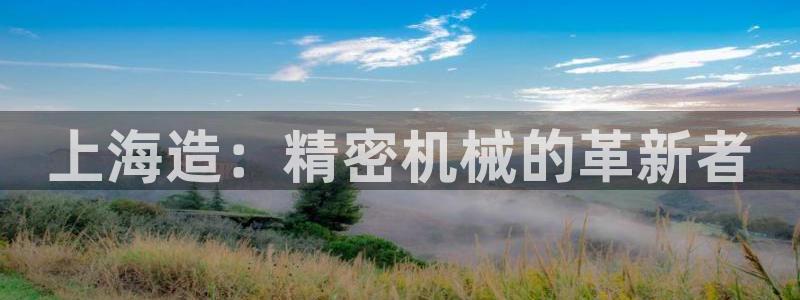 新版彩神v8登录教程：上海造：精密机械的革新者