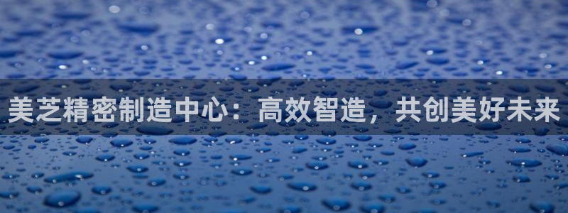 彩神ll能赚钱吗：美芝精密制造中心：高效智造，共创美好未来