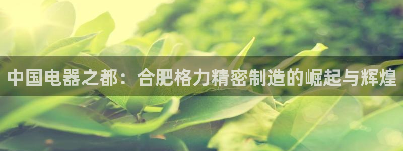 彩神8官网下：中国电器之都：合肥格力精密制造的崛起与辉煌