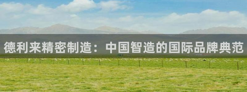 彩神v8下载网址：德利来精密制造：中国智造的国际品牌典范