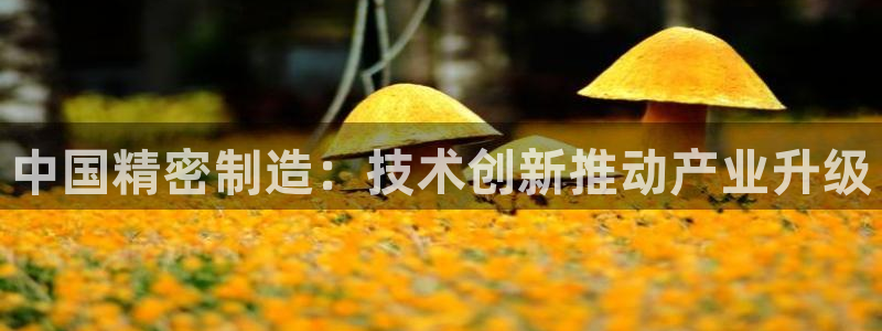 彩神v平台：中国精密制造：技术创新推动产业升级