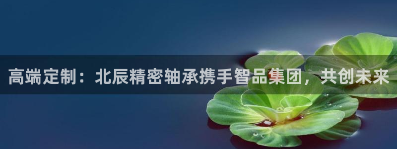 彩神购彩-购彩大厅入口娱乐首选：高端定制：北辰精密轴承携手智品集团，共创未来