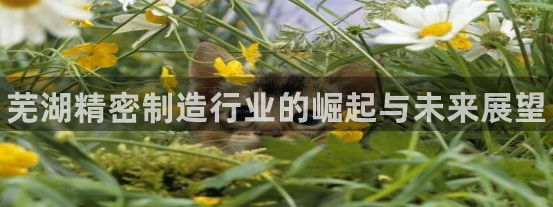 彩神vll首页：芜湖精密制造行业的崛起与未来展望