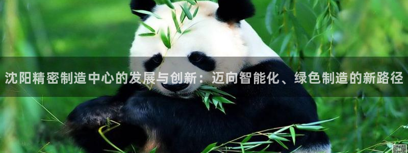 彩神官方网站登录是多少：沈阳精密制造中心的发展与创新：迈向智能化、绿色制造的新路径