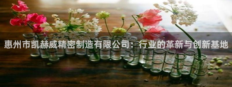 彩神v8手机客户端怎么下载：惠州市凯赫威精密制造有限公司：行业的革新与创新基地