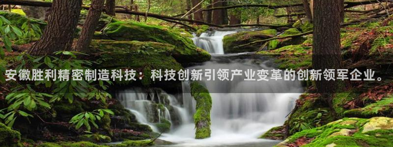 彩神网能赚钱是怎么回事：安徽胜利精密制造科技：科技创新引领产业变革的创新领军企业。