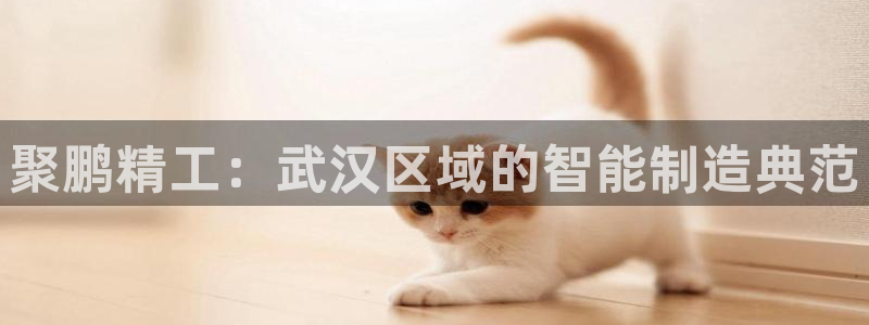 彩神vip购彩：聚鹏精工：武汉区域的智能制造典范