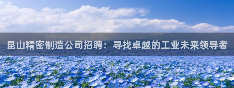 有谁知道彩神争霸的网址：昆山精密制造公司招聘：寻找卓越的工业未来领导者