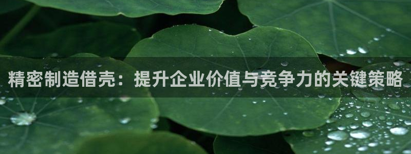 彩神8彩平台客服：精密制造借壳：提升企业价值与竞争力的关键策略