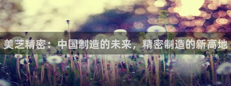 彩神app赚钱是真是假：美芝精密：中国制造的未来，精密制造的新高地