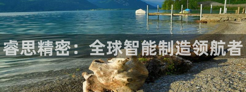 彩神大发黑平台：睿思精密：全球智能制造领航者