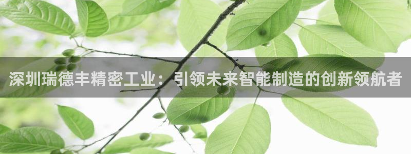 彩神v8是真的挣钱吗知乎：深圳瑞德丰精密工业：引领未来智能制造的创新领航者