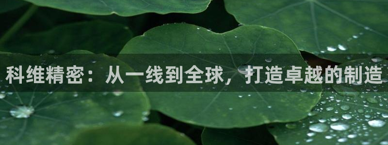 彩神v8购彩大厅登：科维精密：从一线到全球，打造卓越的制造