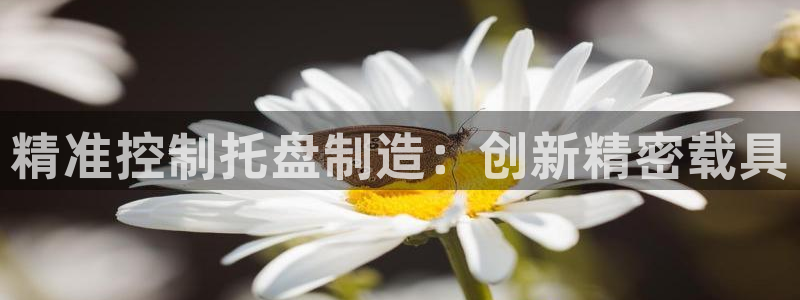 大发彩神官网下载：精准控制托盘制造：创新精密载具