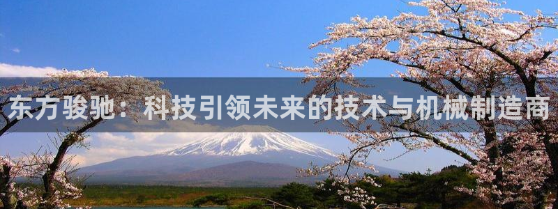 彩神ix是真的吗：东方骏驰：科技引领未来的技术与机械制造商