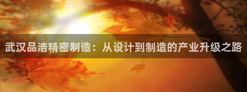 彩神购彩-购彩大厅入口计划群：武汉品浩精密制造：从设计到制造的产业升级之路