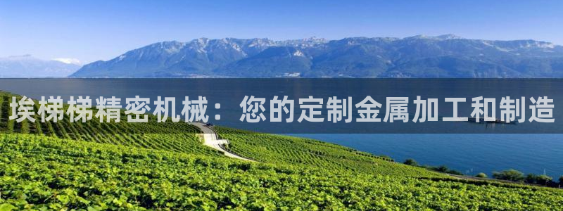 有谁知道彩神争霸的网址：埃梯梯精密机械：您的定制金属加工和制造