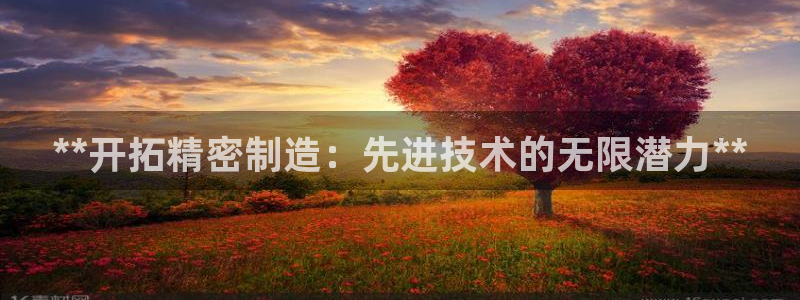 彩神iv争霸购彩大厅：**开拓精密制造：先进技术的无限潜力**