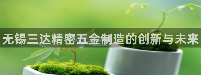 彩神v8app：无锡三达精密五金制造的创新与未来