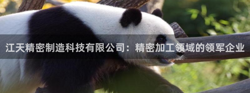 彩神官方网站登录是多少：江天精密制造科技有限公司：精密加工领域的领军企业