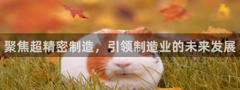 所有彩神购买首页都一样吗：聚焦超精密制造，引领制造业的未来发展