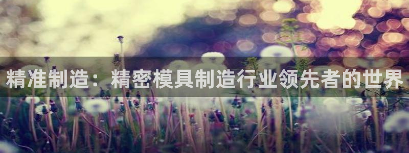 彩神8购彩-购彩大厅：精准制造：精密模具制造行业领先者的世界