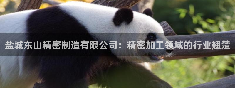 彩神大发黑平台：盐城东山精密制造有限公司：精密加工领域的行业翘楚