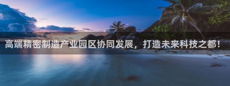 彩神大发是不是人为操作：高端精密制造产业园区协同发展，打造未来科技之都！