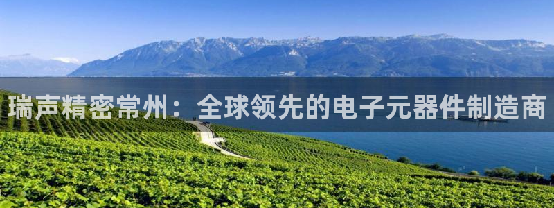 彩神官方网站登录是多少：瑞声精密常州：全球领先的电子元器件制造商