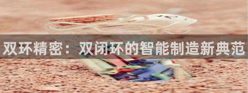 彩神iv真的能赚钱吗：双环精密：双闭环的智能制造新典范