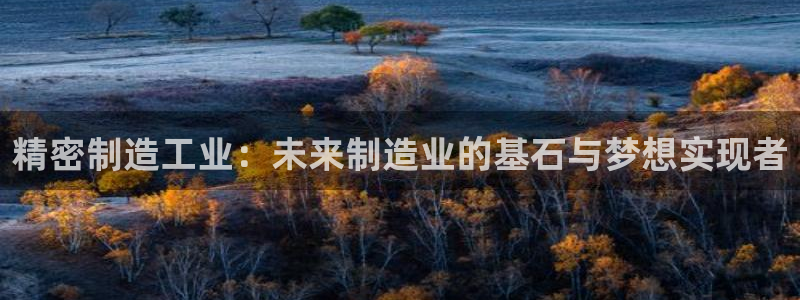 彩神争霸官方下载2017：精密制造工业：未来制造业的基石与梦想实现者