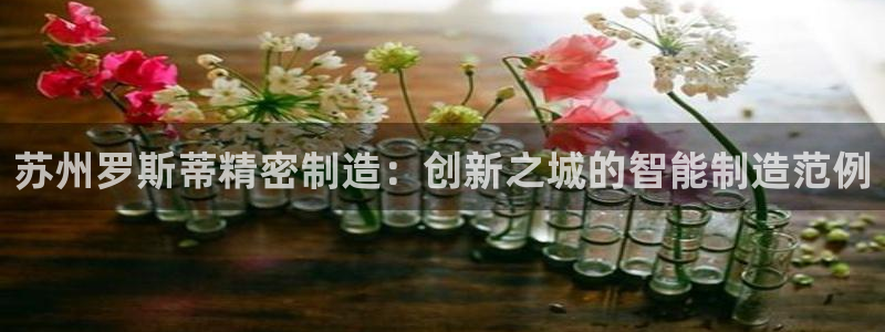 彩神iv争霸购彩大厅：苏州罗斯蒂精密制造：创新之城的智能制造范例